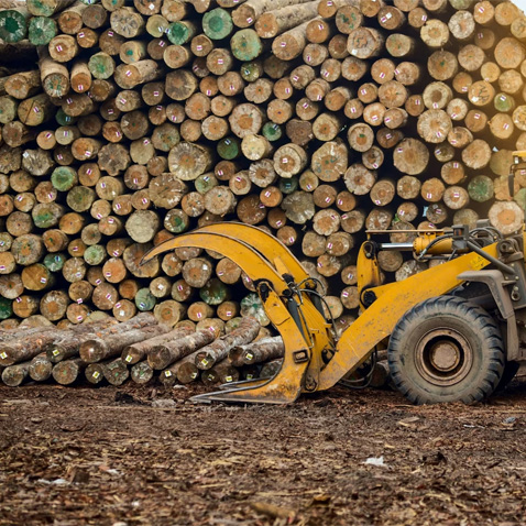 Maquinaria pesada operando en la industria forestal