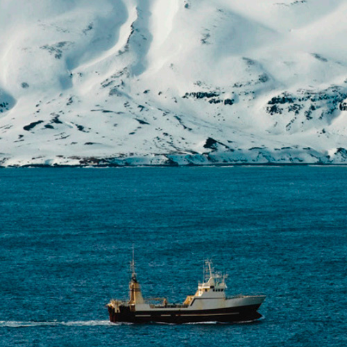 Embarcación pesquera navegando en el mar